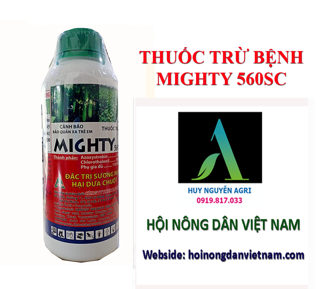 MIGHTY 560SC – ĐẶC TRỊ SƯƠNG MAI ,GIẢ SƯƠNG MAI ,PHẤN TRẮNG TRÊN CÂY THÂN THẢO hoinongdanvietnam.com