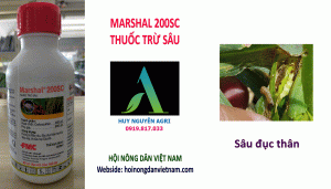 MARSHAL-200SC