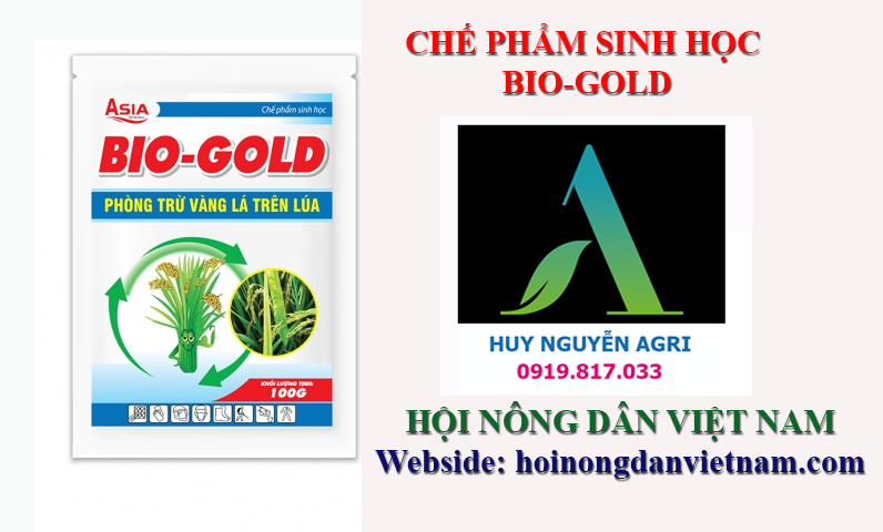 CHẾ PHẨM SINH HỌC BIO-GOLD ATT – Phòng trừ vàng lá trên lúa  100GR AGRI THUẬN THIÊN hoinongdanvietnam.com