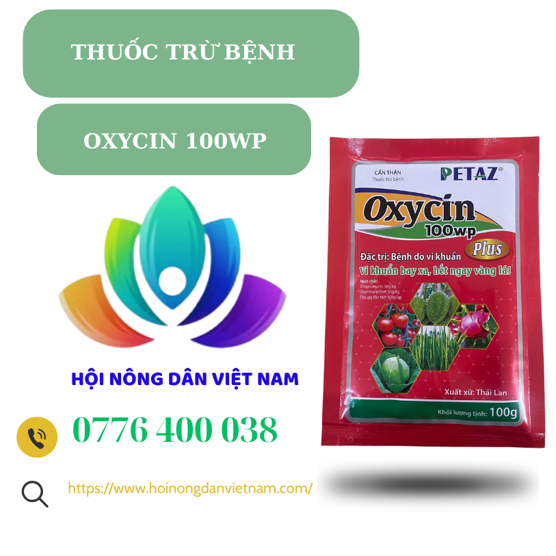 OXYCIN 100WP