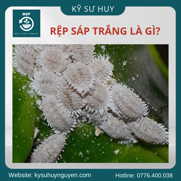 KHỦNG LONG 666 KHỦNG LONG 666