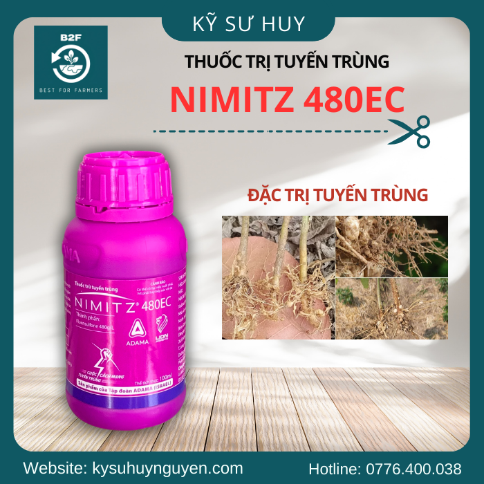 NIMITZ 480EC NIMITZ 480EC